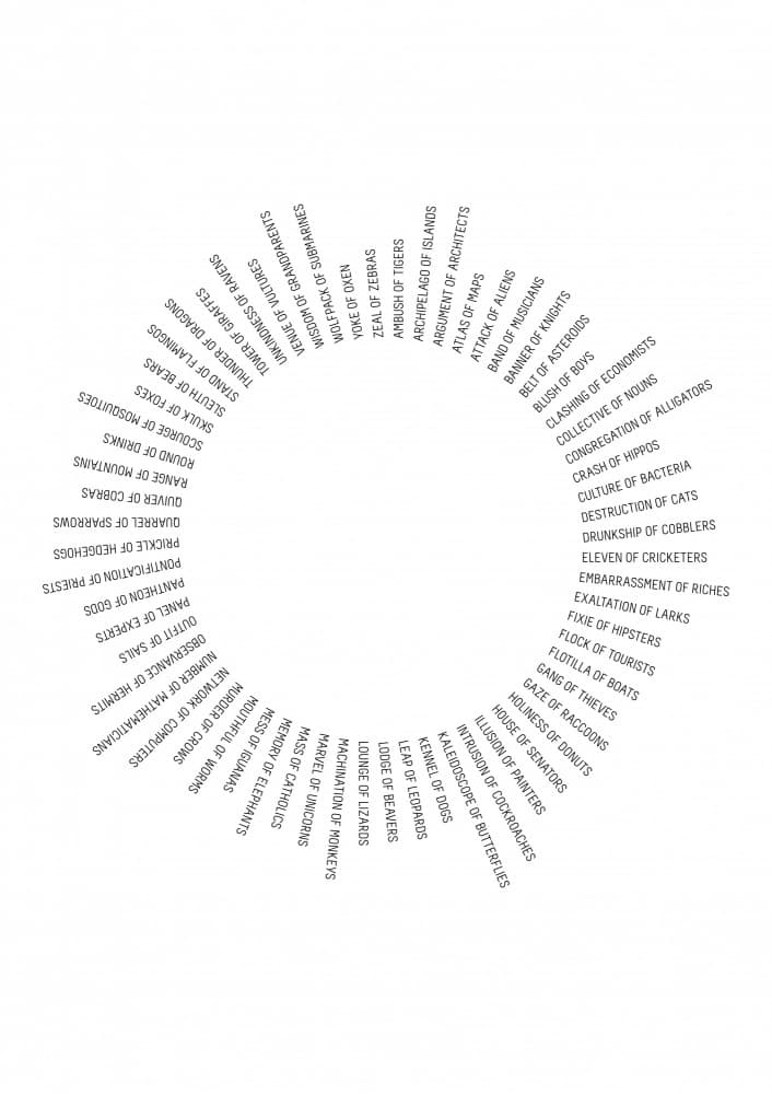 Collective Nouns by Brett Jefferson — canvas wall art