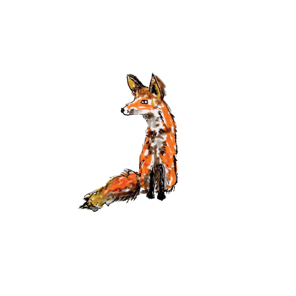 Artistic Red Fox by Breanna Megan Studio — canvas wall art