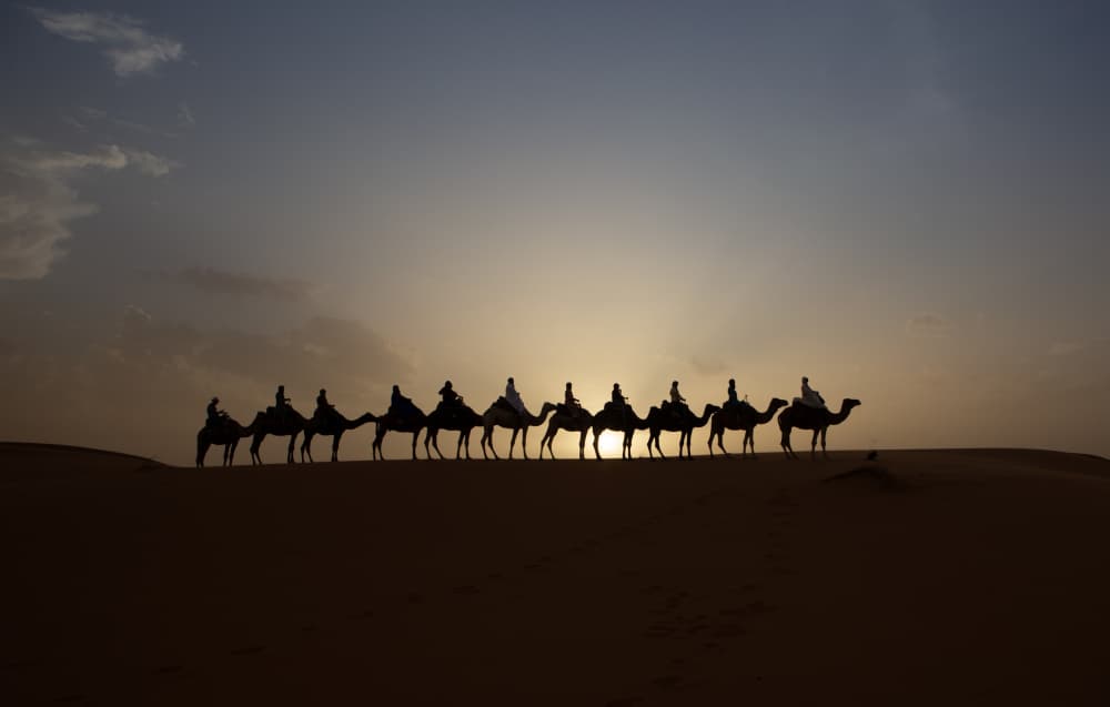 Desert Camel Caravan by Clas Gustafson PRO — canvas wall art