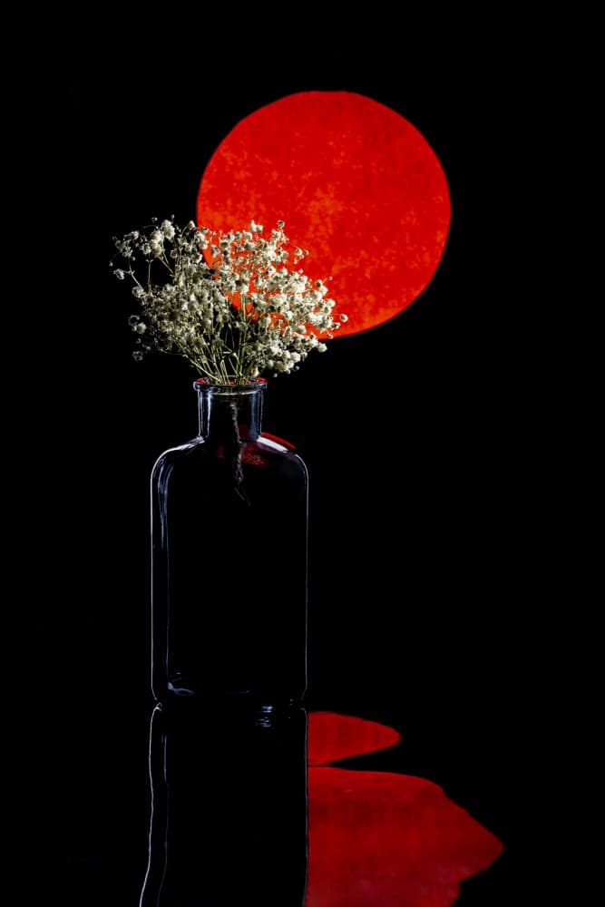 Red Sun Floral Reflection by Brig Barkow — canvas wall art