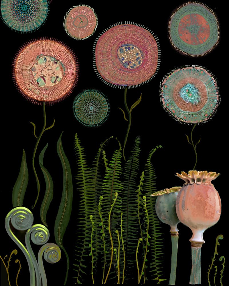 Microscopic Flower Garden by giovanna nicolo — canvas wall art