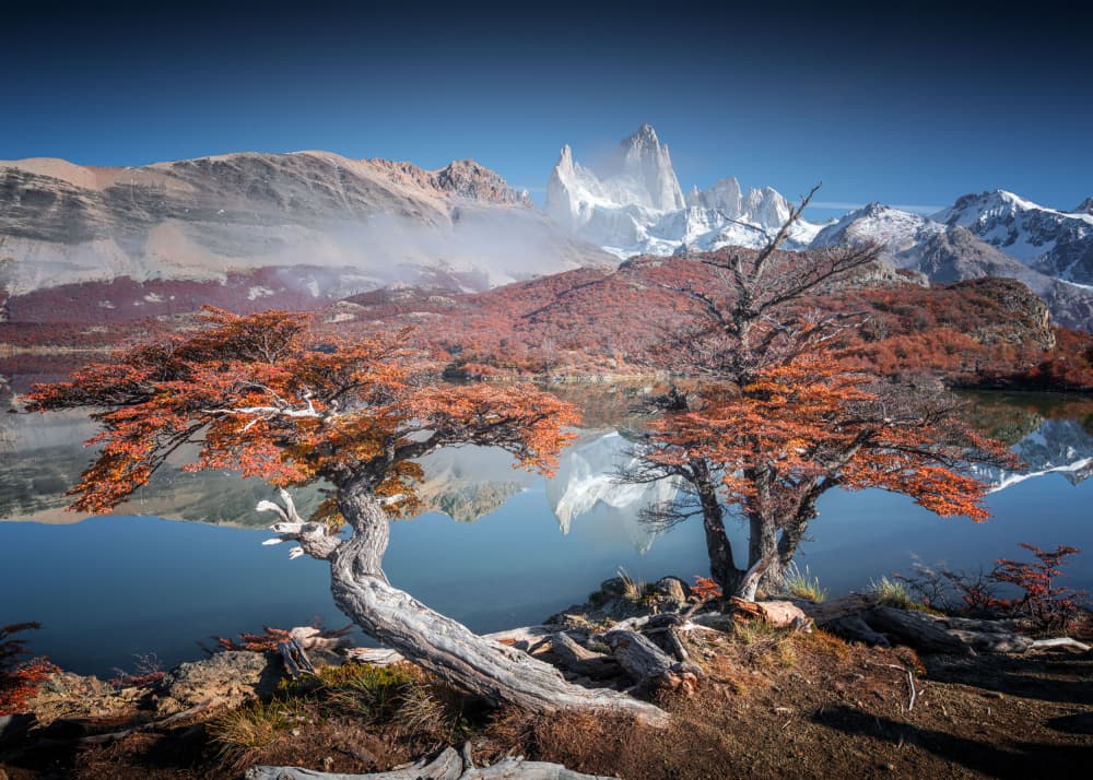 Patagonia Autumn Reflection by Willa Wei — canvas wall art