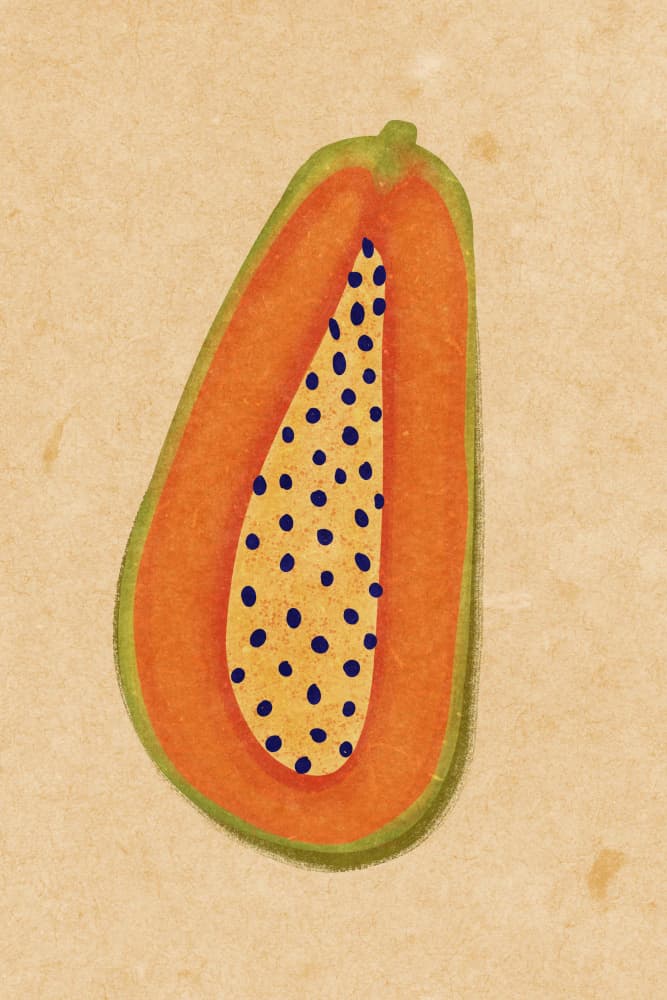 Simple papaya by Raissa Oltmanns — canvas wall art