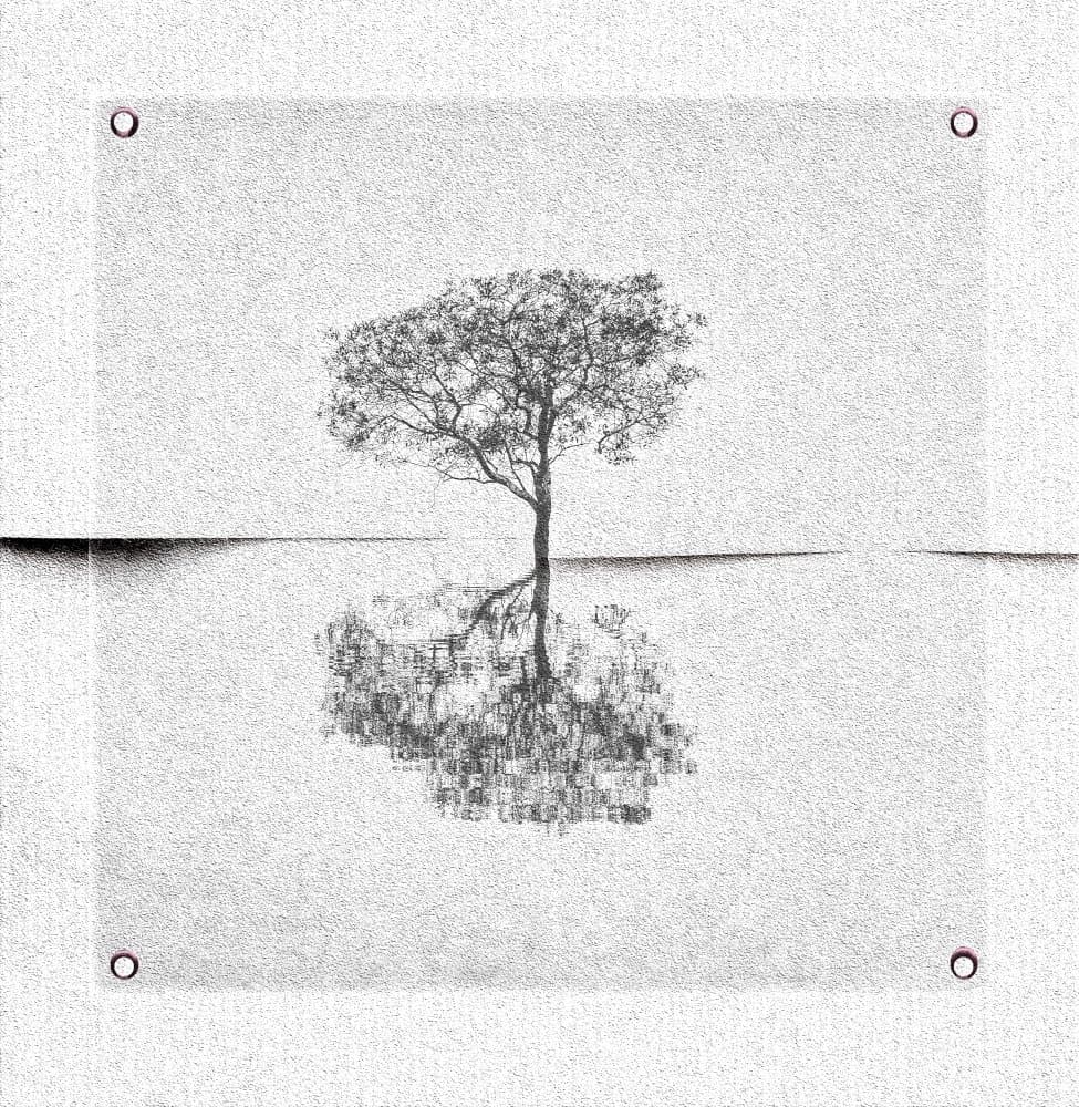 Serene Tree Reflection by Harry Verschelden — canvas wall art