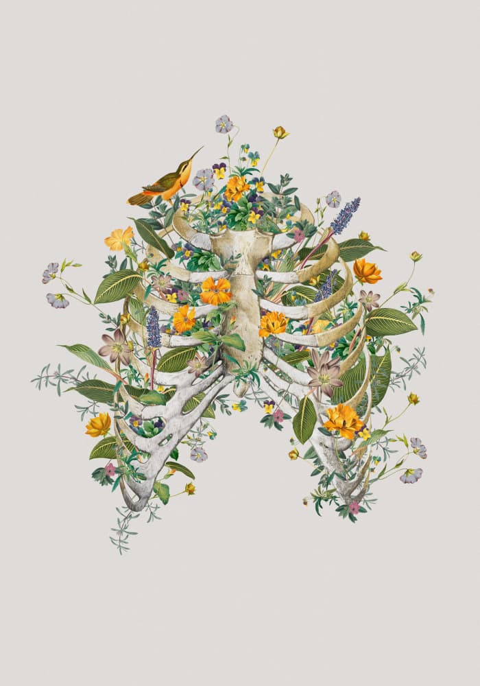 Botanical Rib Cage by Frida Floral Studio — canvas wall art