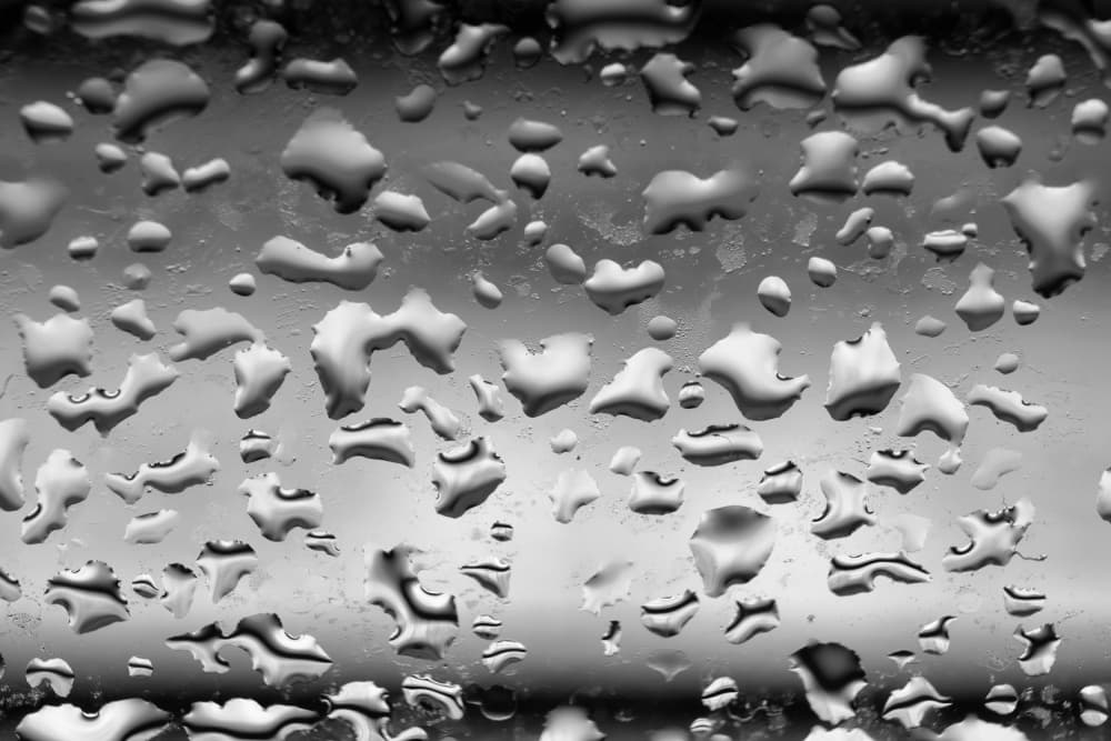 Glistening Water Drops by Angelo Giampiccolo — canvas wall art