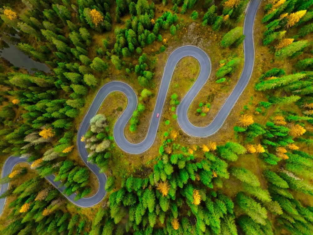 Winding Forest Road by Chuan Chen APA — canvas wall art