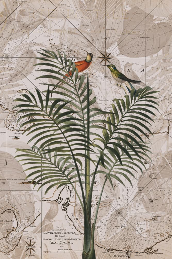 Tropical Birds on Vintage Map by Andrea Haase — canvas wall art