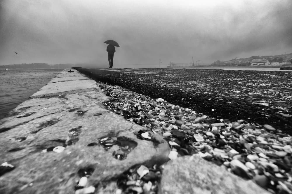 Solitary Man on Pier by Josefina Melo — canvas wall art