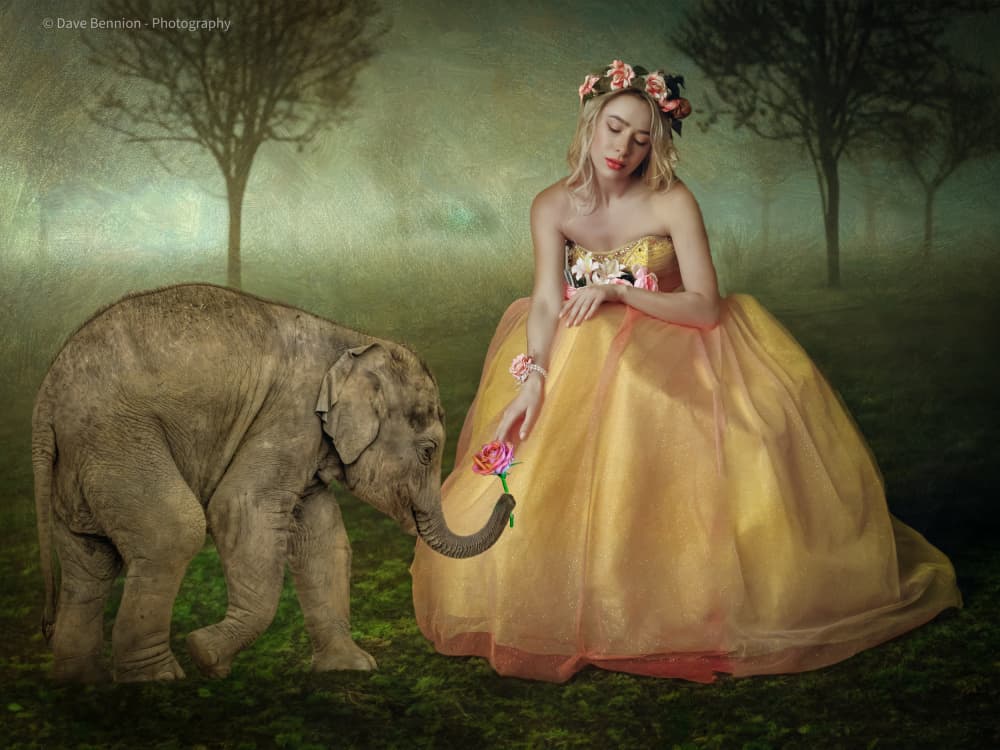 Enchanted Encounter by David Bennion — canvas wall art