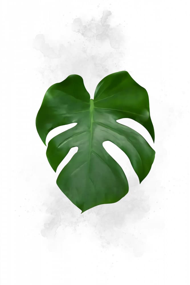 Green Monstera Leaf by Rafal Kulik — canvas wall art
