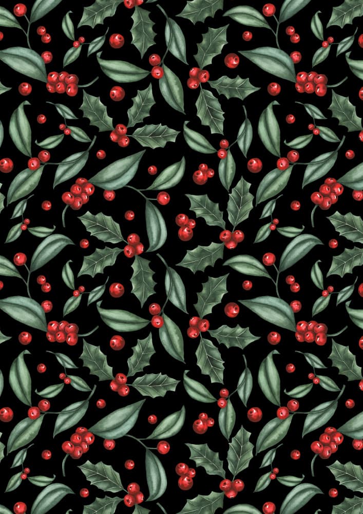 Festive Holly Berries by Linda Sitniece — canvas wall art