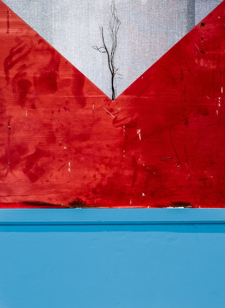 Striking Geometric Tree by Harry Verschelden — canvas wall art