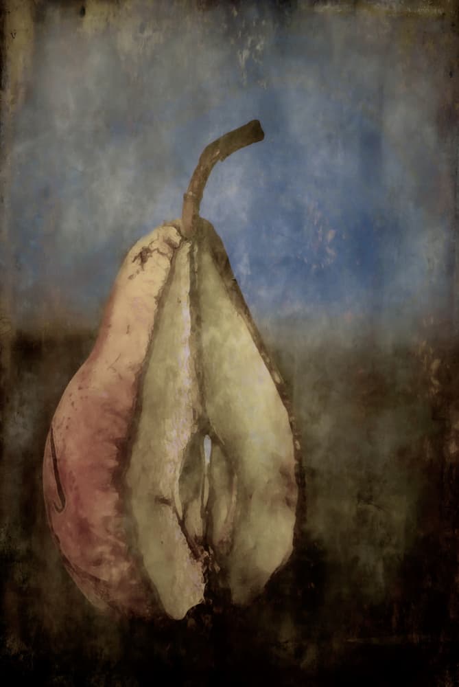 Moody Split Pear by Leonid Yermoshkin — canvas wall art