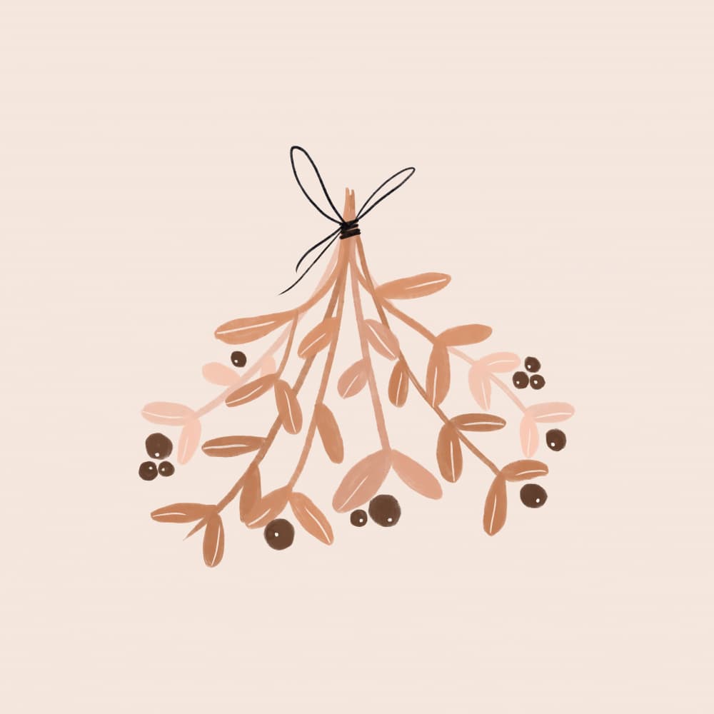 Festive Mistletoe Bunch by Orara Studio — canvas wall art