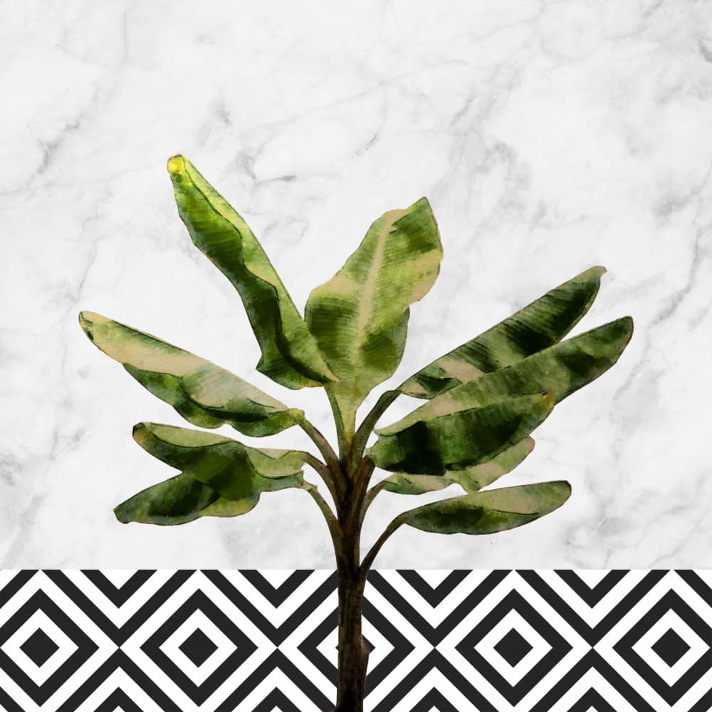 Tropical Plant Marble Pattern by amini54 — canvas wall art