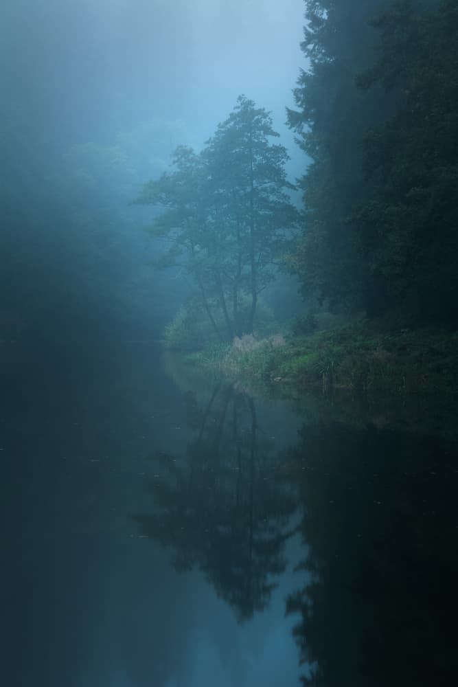Misty Forest Lake by Milos Lach — canvas wall art