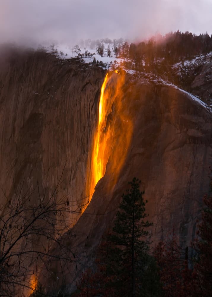Golden Firefall Cascade by Eunice Kim — canvas wall art