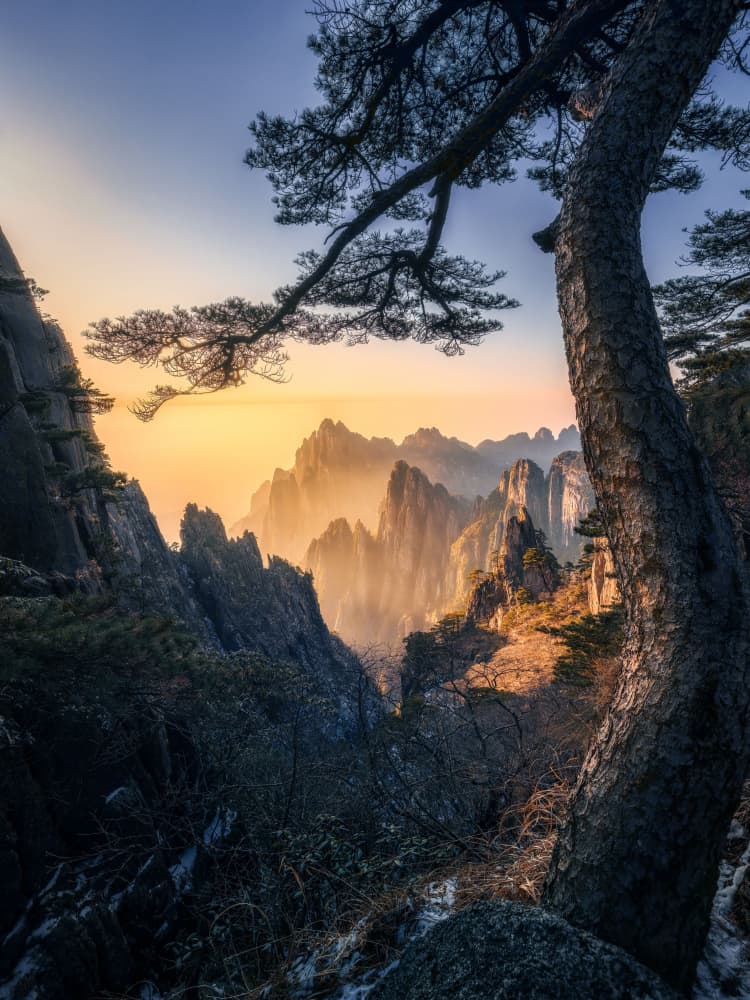 Golden Mountain Peaks by Yuan Cui — canvas wall art