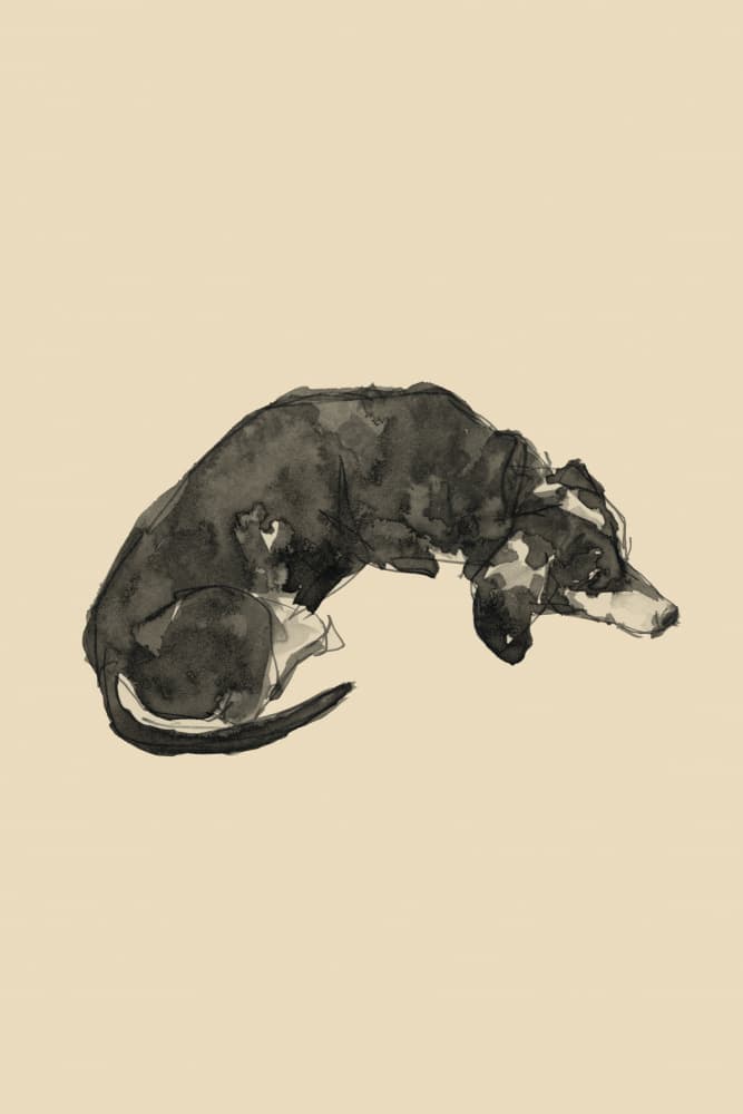 Relaxed Ink Dog by cartissi — canvas wall art