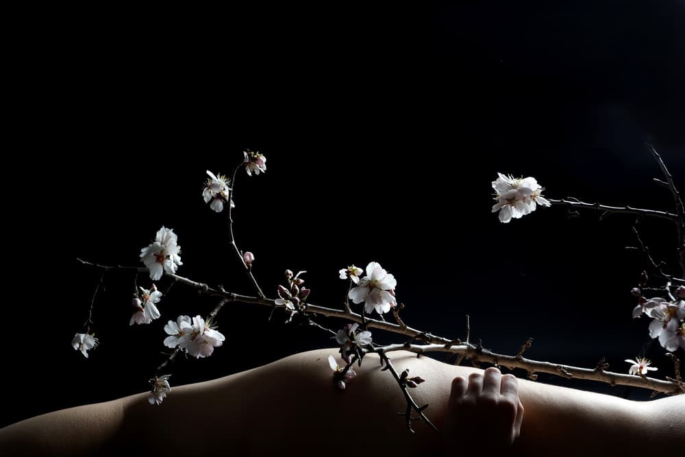 Spring Bloom on Skin by Olga Mest — canvas wall art