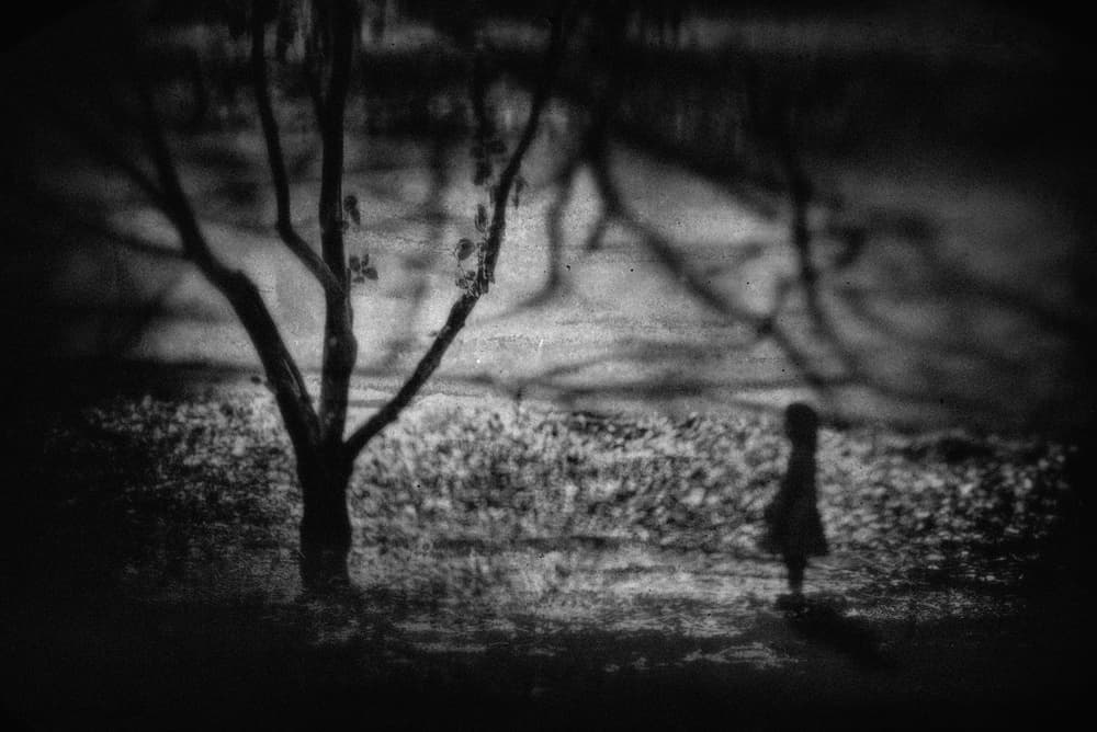 Lonely Girl Tree by Teruhiko Tsuchida — canvas wall art