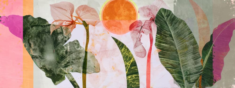 Tropical Sunrise by Treechild — canvas wall art