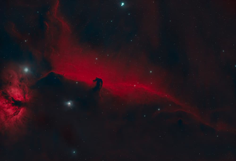Cosmic Horsehead Nebula by James Zhen Yu — canvas wall art
