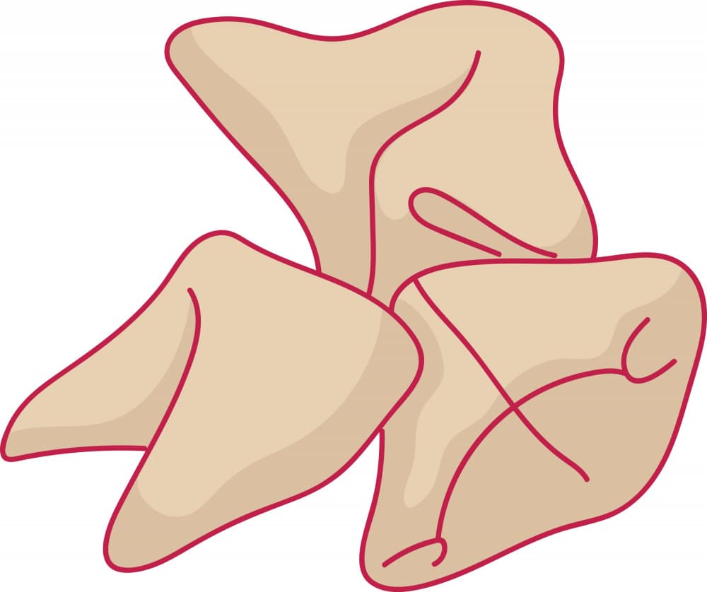 Lucky Fortune Cookies by Marika Barsrsind β canvas wall art