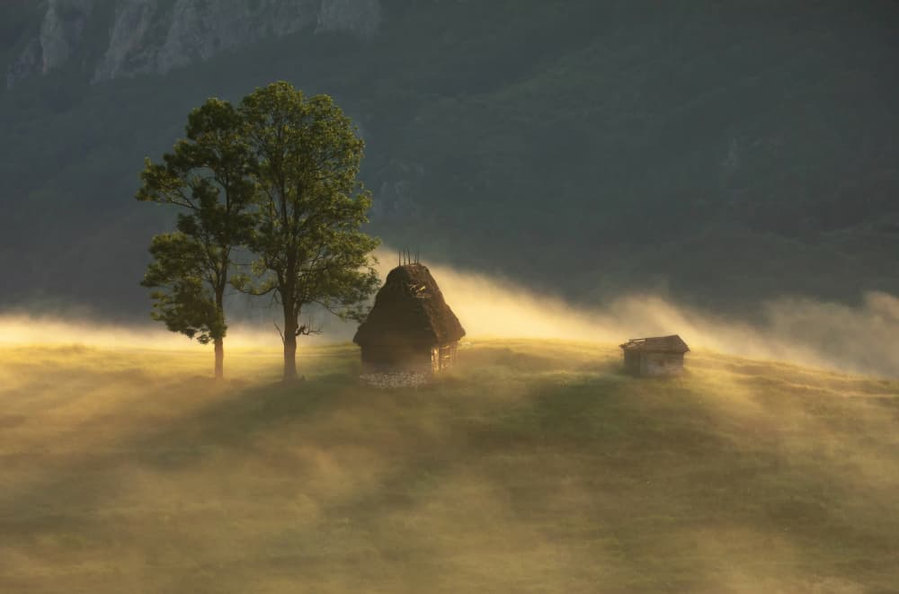 Golden Morning Mist by Lazar Ioan Ovidiu — canvas wall art