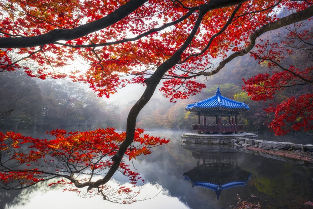 Tranquil Autumn Pagoda by Tiger Seo — canvas wall art