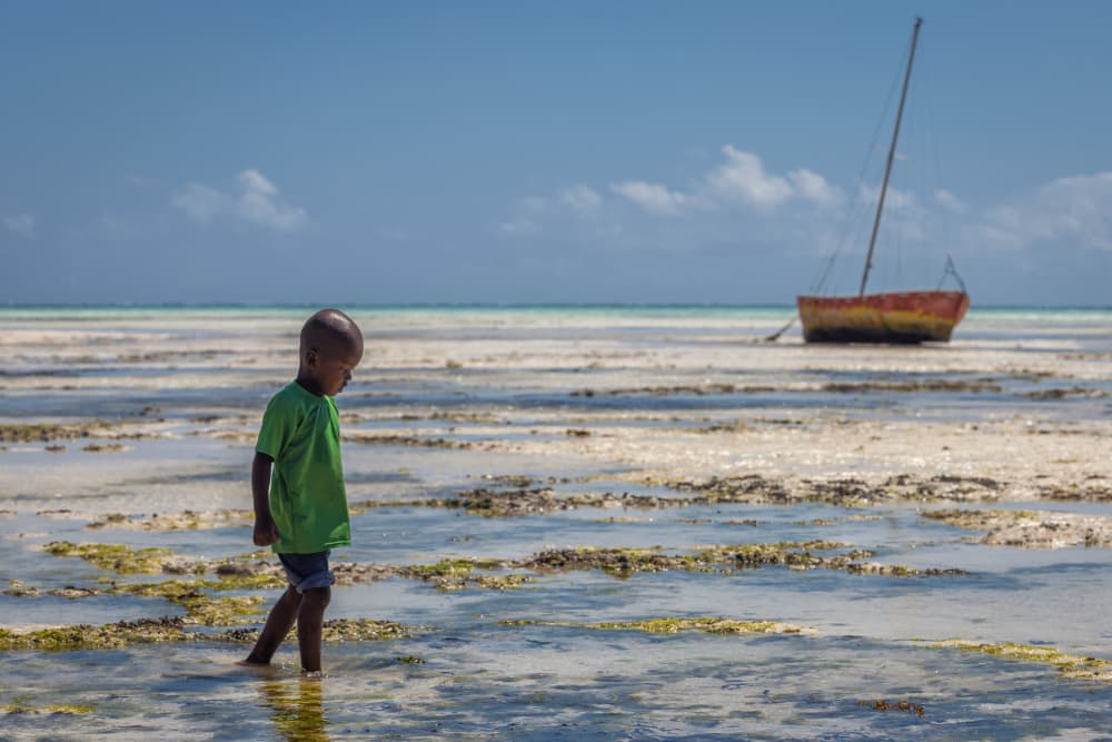 Boy on Low Tide Beach by Milton Louiz — canvas wall art