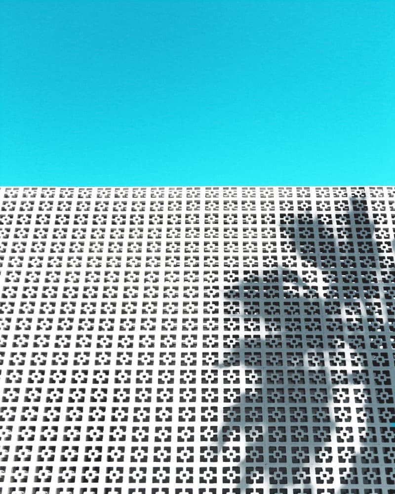 Parker Palm Shadow in Palm Springs by Tom Windeknecht — canvas wall art