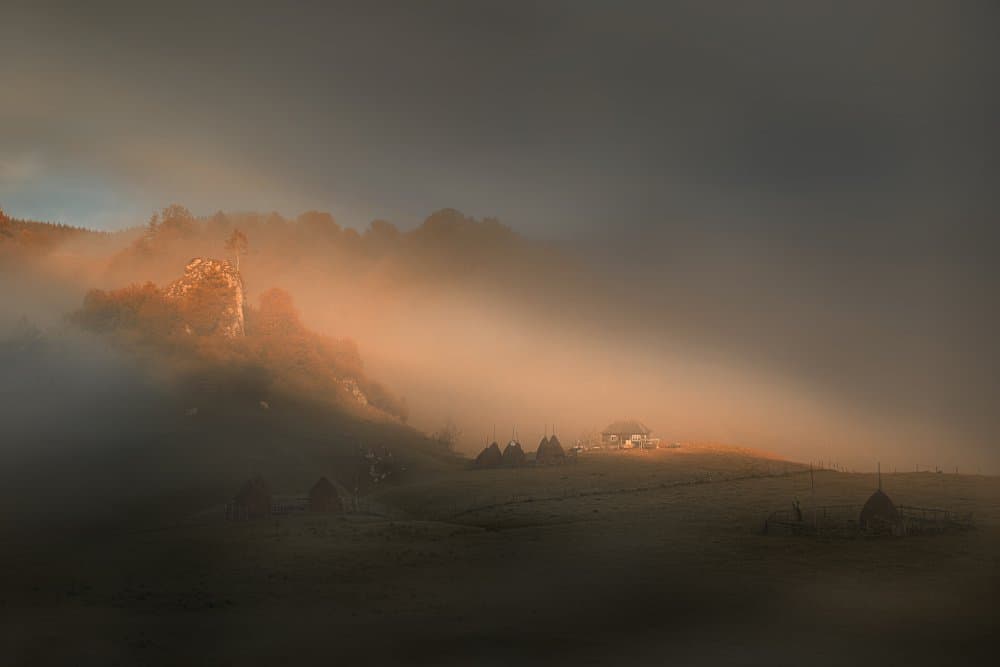 Golden Morning Fog by Todor Tanev — canvas wall art
