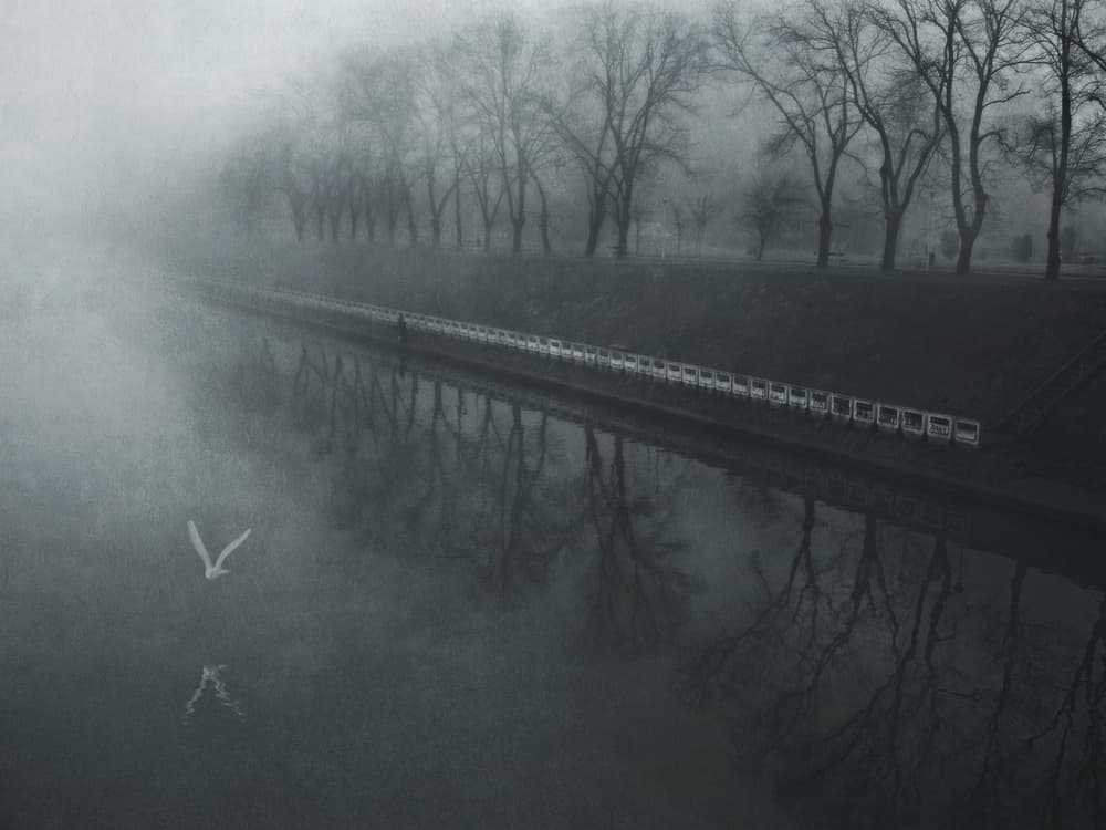 Misty River Flight by Nicoleta Gabor — canvas wall art