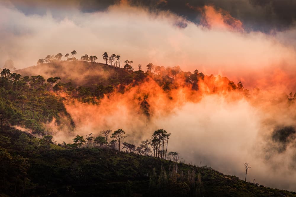 Misty Mountain Glow by Adrian Popan — canvas wall art