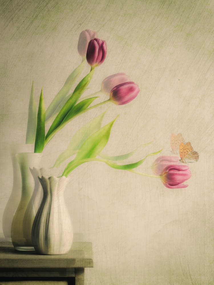 Dreamy Tulips and Butterfly by Cristiano Giani — canvas wall art