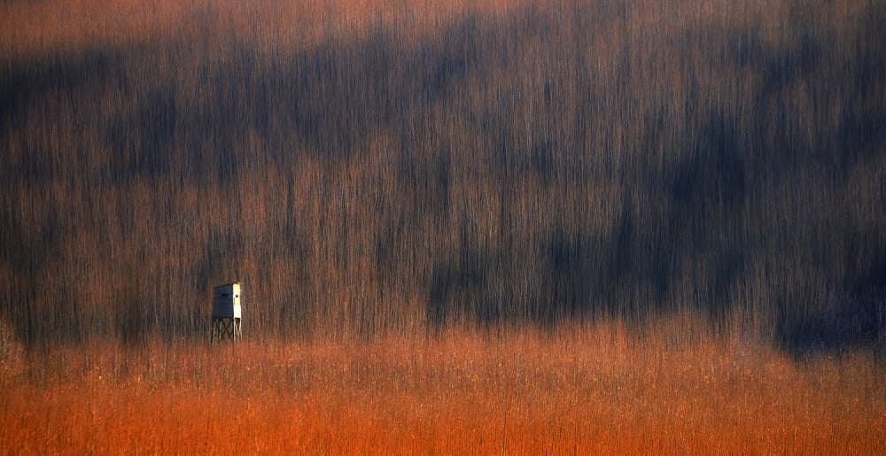 Solitary Marsh Blind by paralaxa — canvas wall art