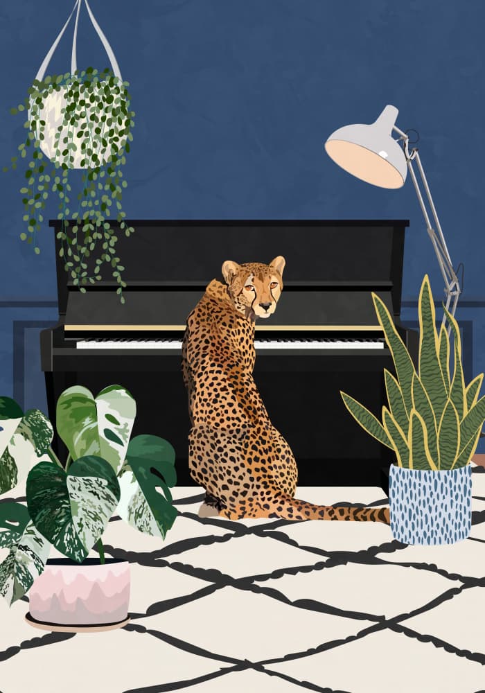 Cheetah By The Piano by Sarah Manovski — canvas wall art