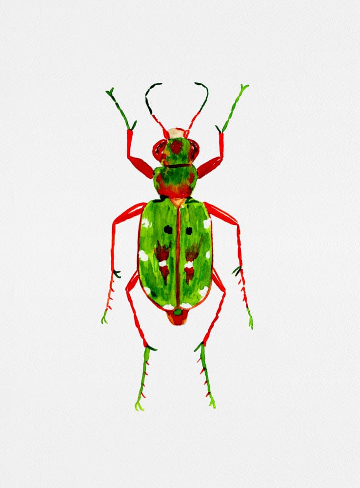 Vibrant Green Beetle by Kata Botanical — canvas wall art