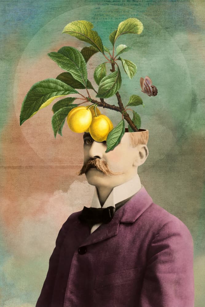 The Fruiting Mind by Marja van den Hurk — canvas wall art
