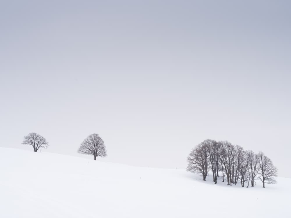 Minimalist Winter Landscape by Robert Bolton — canvas wall art