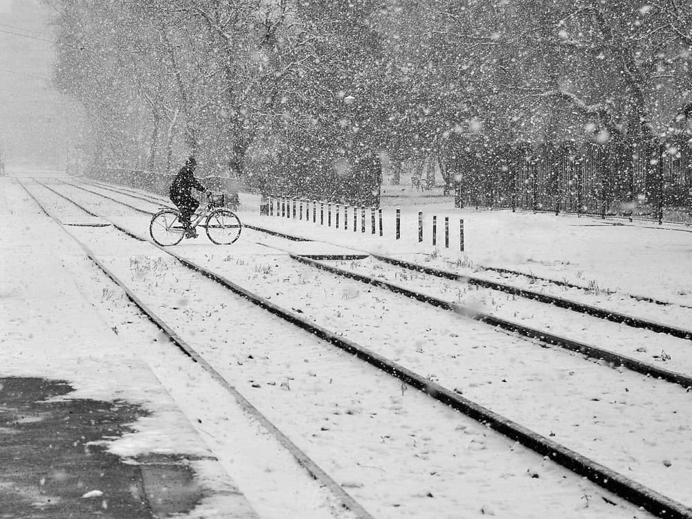 Solitary Winter Ride by Nicoleta Gabor — canvas wall art