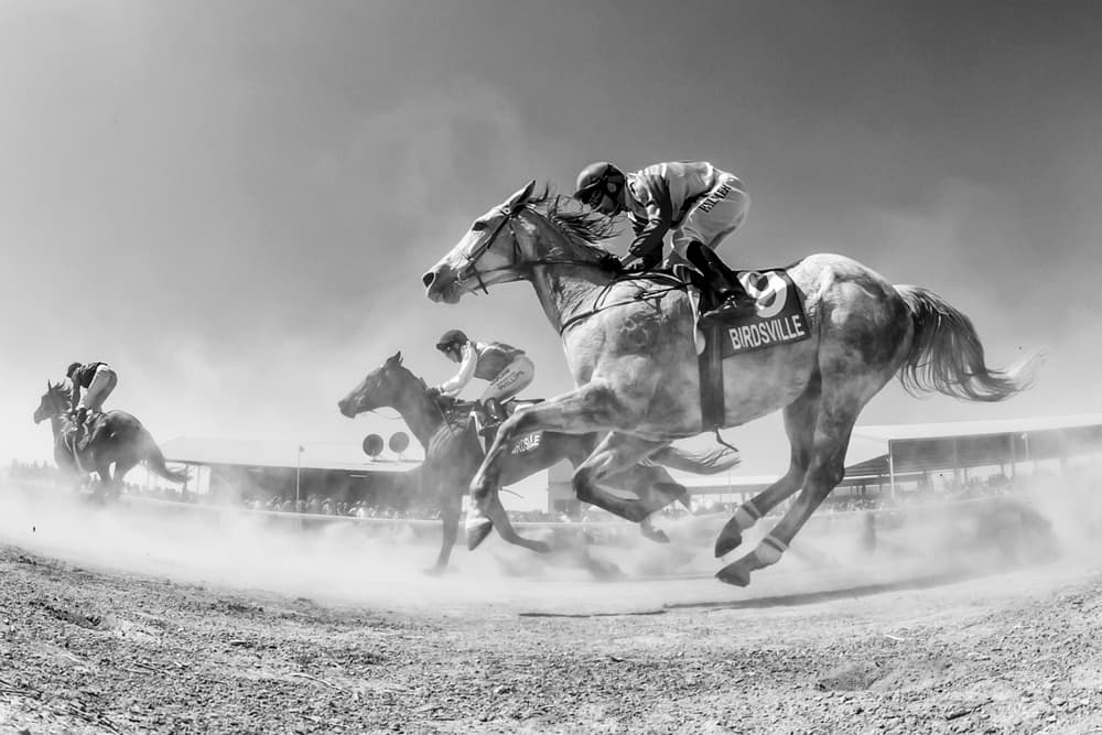 Dusty Horse Race by Sharon Lee Chapman — canvas wall art