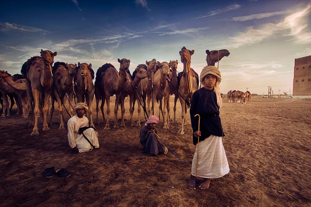 Desert Boys and Camels by Nid — canvas wall art