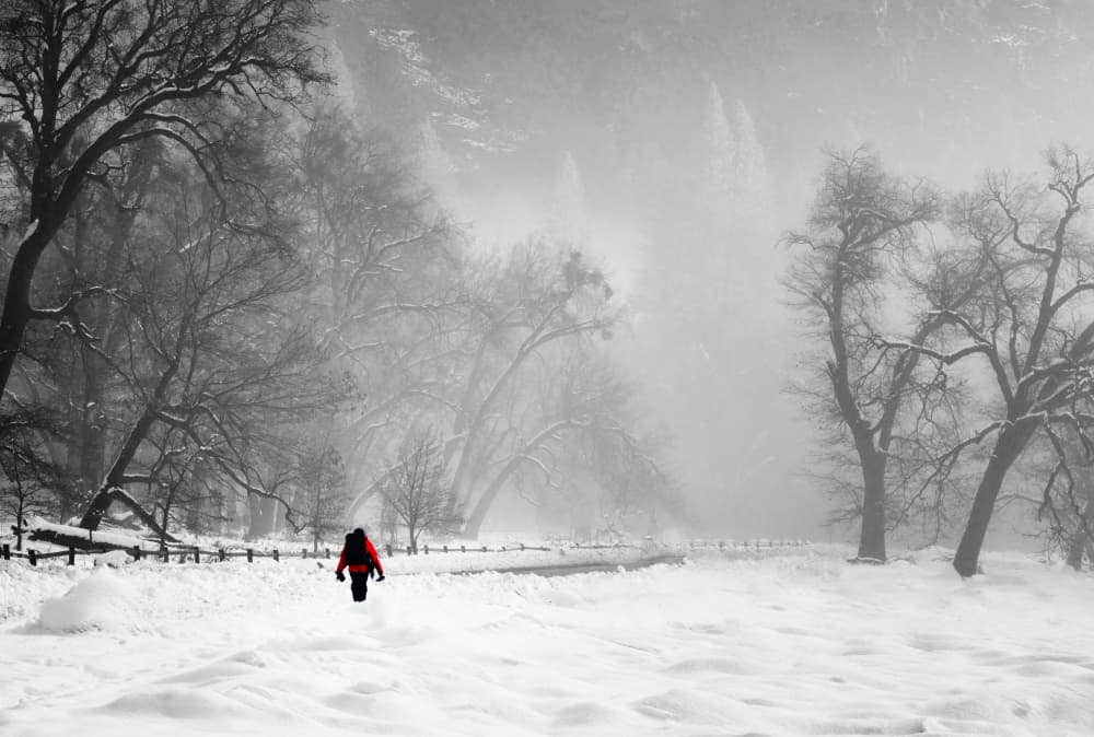 Snowy Path Red Coat by NanZ — canvas wall art
