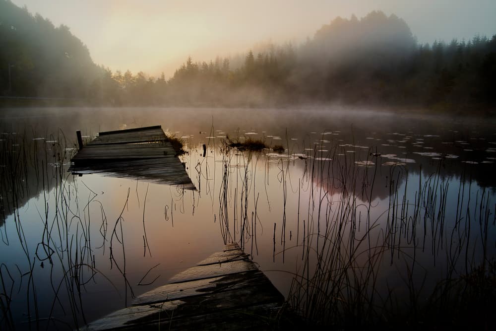 Old Dock Morning Mist by Willy Marthinussen — canvas wall art