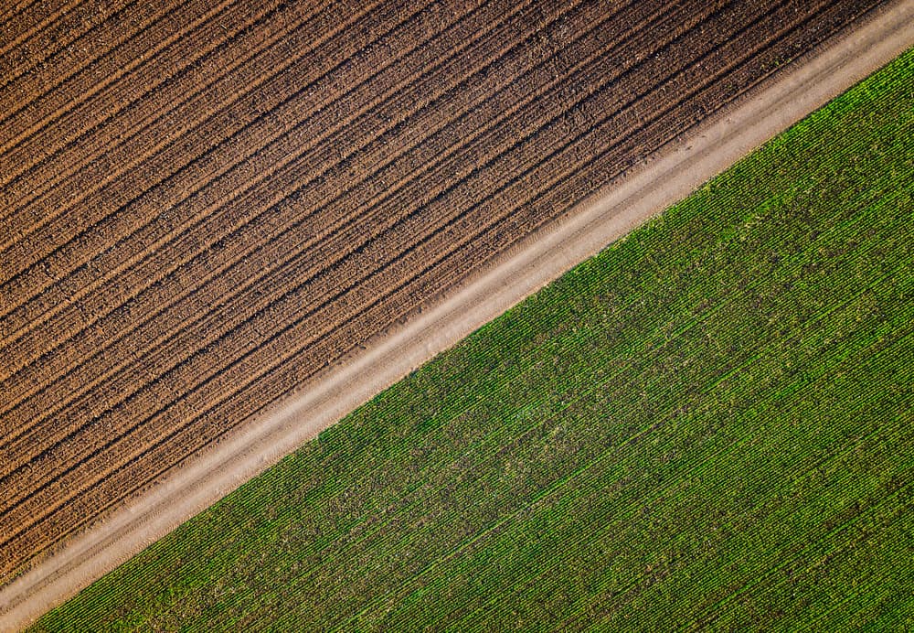 Green Fields Brown Earth by Simon Gelfand — canvas wall art