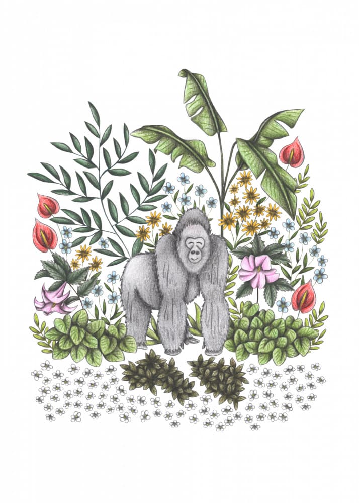Tropical Silverback Gorilla by Cecilia Battaini — canvas wall art