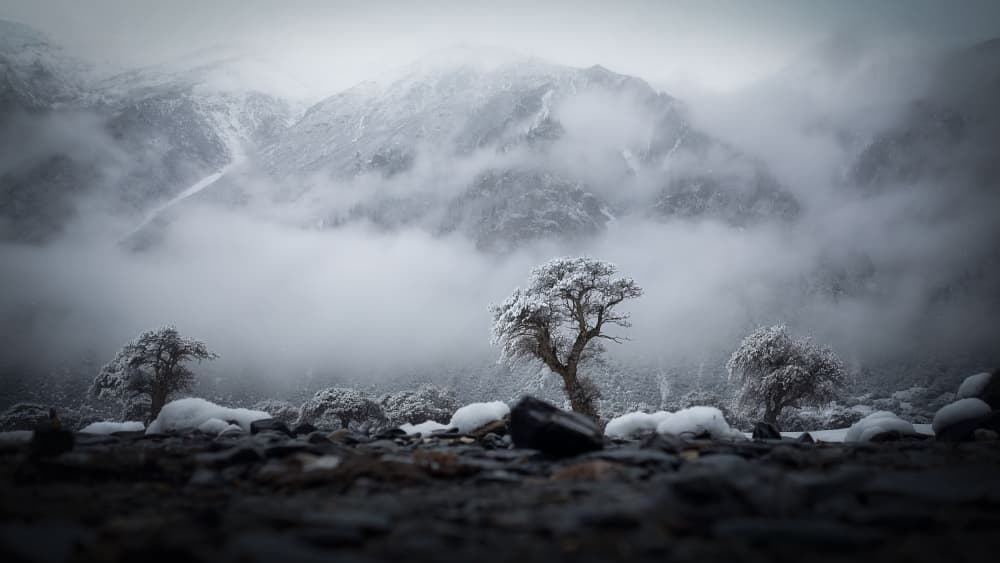 Misty Winter Mountains by YANGYING — canvas wall art